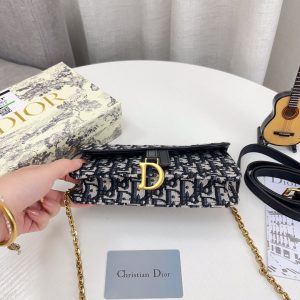 Dior saddle woc strip chain bag / clutch / waist bag