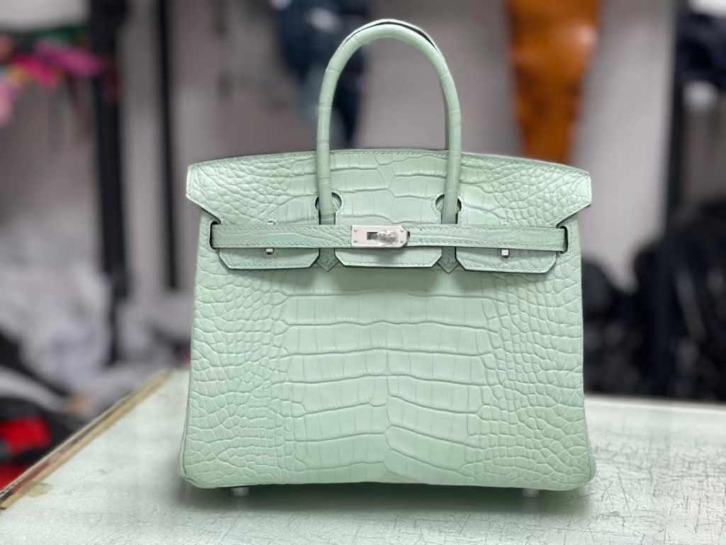 HERMES Hermès Birkin 25 Platinum Bag Crocodile Silver Buckle Handbag for Women 6U Vert D'Eau Aqua