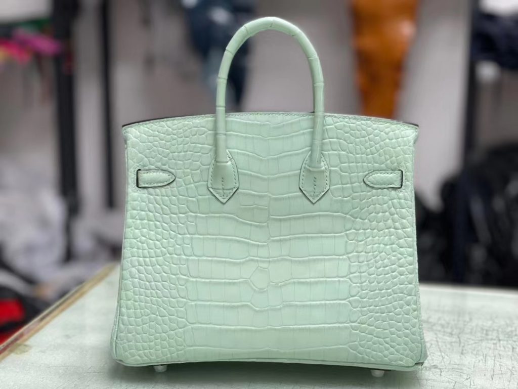 HERMES Hermès Birkin 25 Platinum Bag Crocodile Silver Buckle Handbag for Women 6U Vert D'Eau Aqua