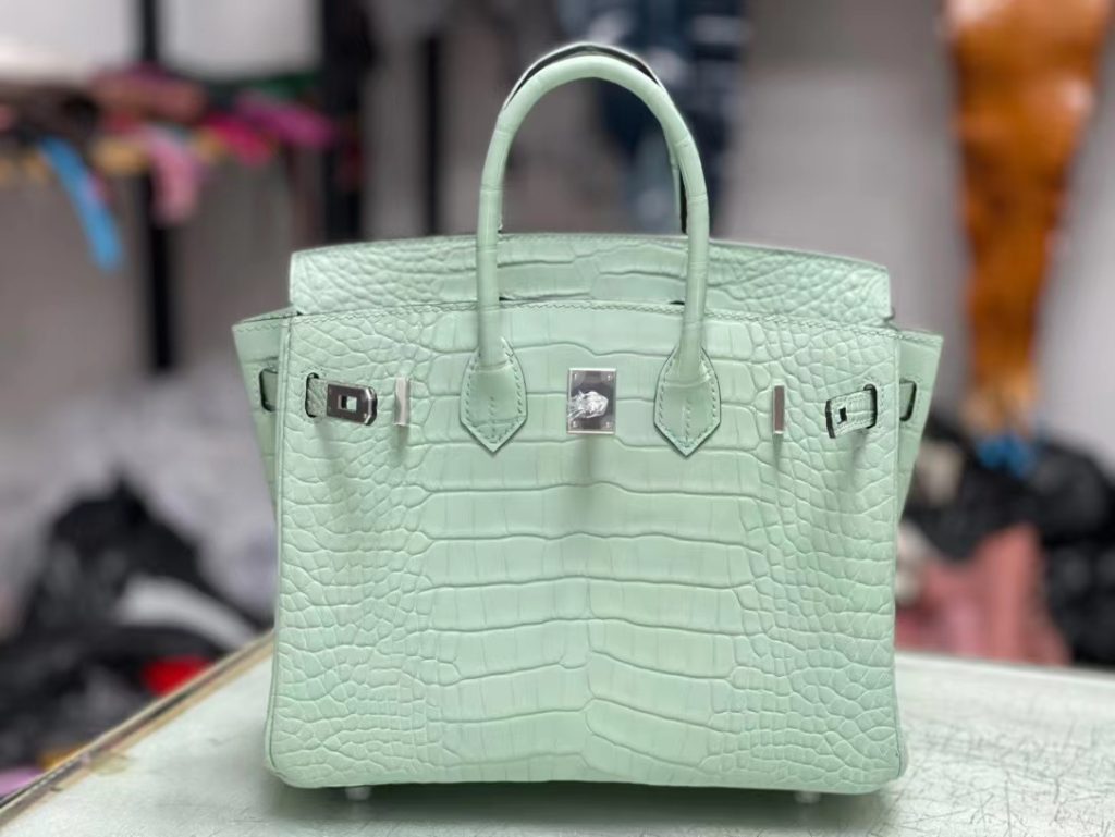 HERMES Hermès Birkin 25 Platinum Bag Crocodile Silver Buckle Handbag for Women 6U Vert D'Eau Aqua