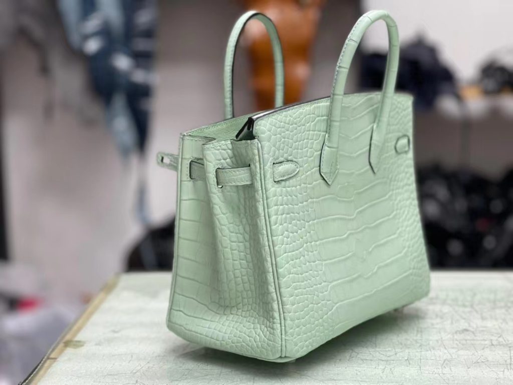 HERMES Hermès Birkin 25 Platinum Bag Crocodile Silver Buckle Handbag for Women 6U Vert D'Eau Aqua