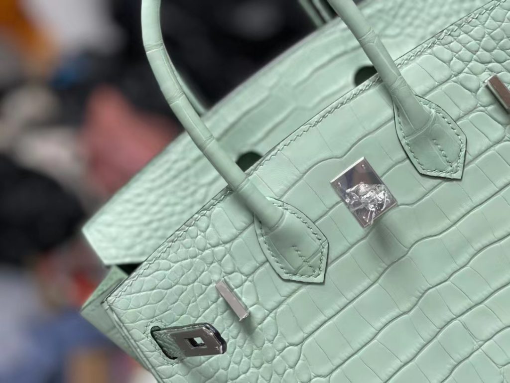 HERMES Hermès Birkin 25 Platinum Bag Crocodile Silver Buckle Handbag for Women 6U Vert D'Eau Aqua