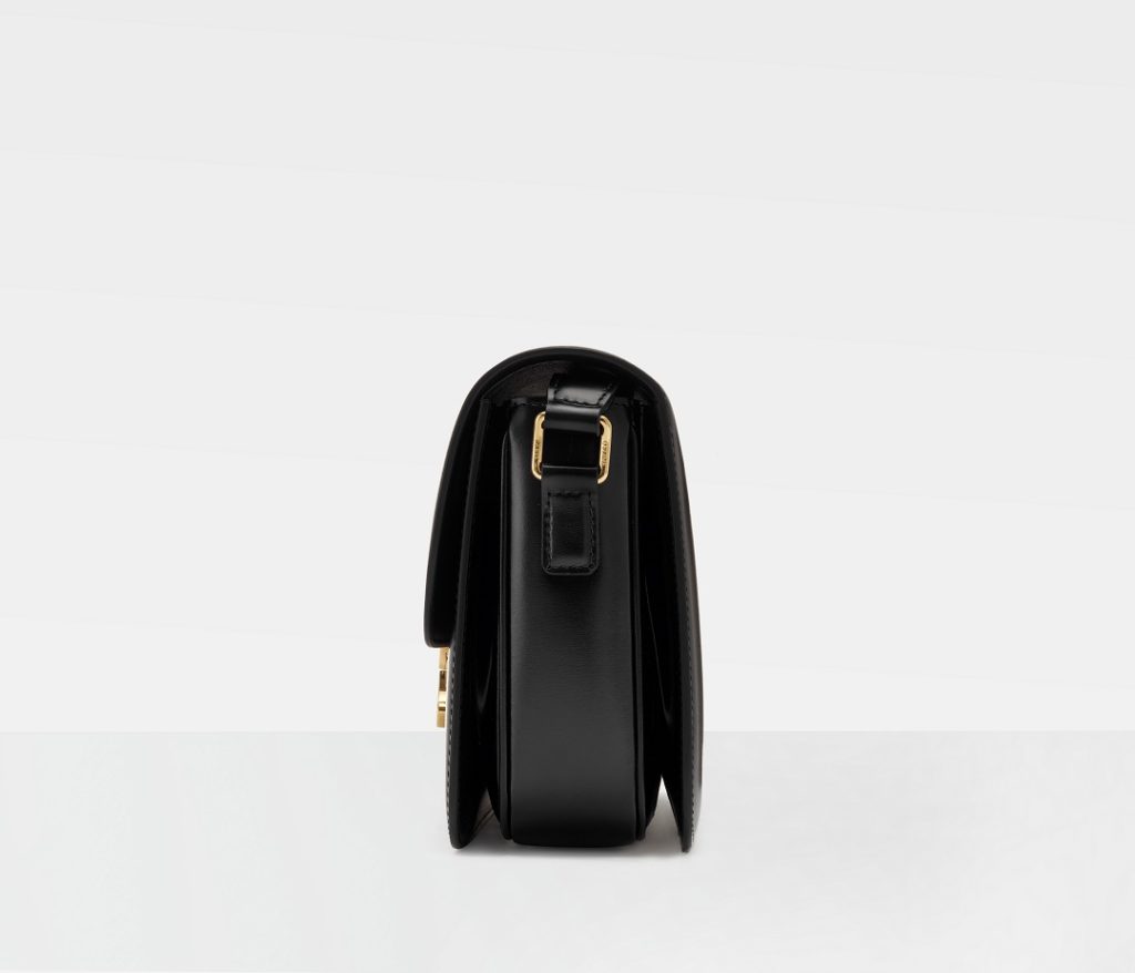 CELINE TRIOMPHE Shiny Calfskin Shoulder Backpack