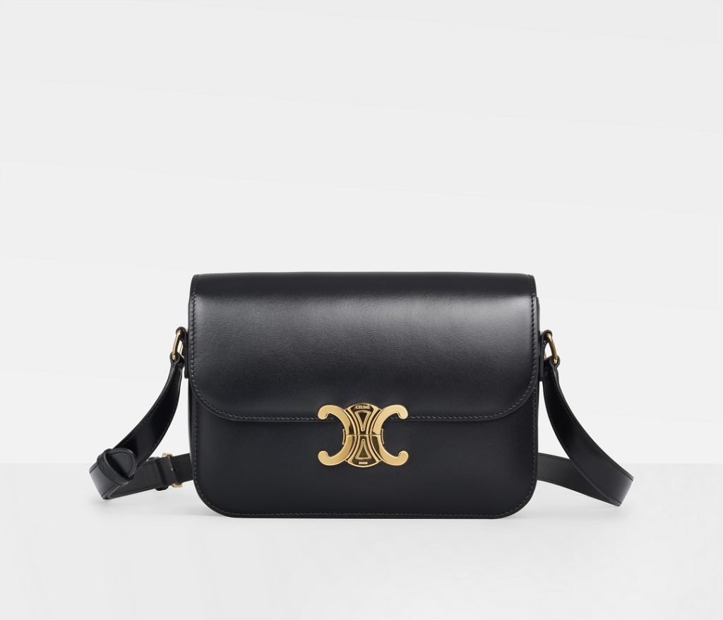 CELINE TRIOMPHE Shiny Calfskin Shoulder Backpack